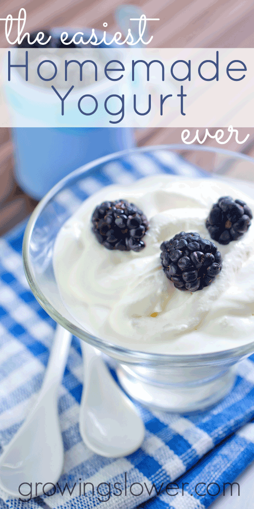 Find out the easiest method for how to make yogurt from scratch. Making my own yogurt saves me over $220 a year and using this trick, it is so easy to make!