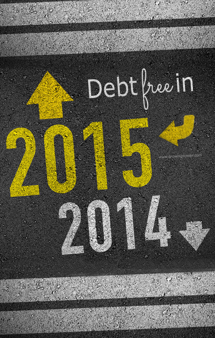 How to Be Debt Free in 2015 - Whether this is the first time you've thought about debt free living, or you've already taken the first steps on your journey to debt free, this series will show you everything you need to know to get started paying back your loans fast and stay inspired to keep on going.