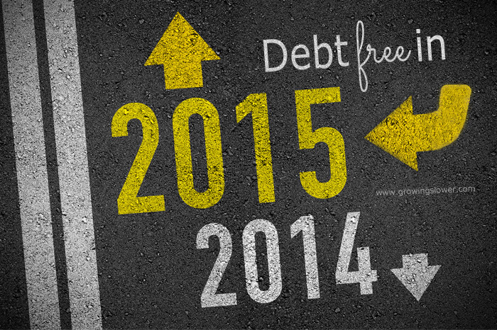 How to Be Debt Free in 2015 - Whether this is the first time you've thought about debt free living, or you've already taken the first steps on your journey to debt free, this series will show you everything you need to know to get started paying back your loans fast and stay inspired to keep on going.