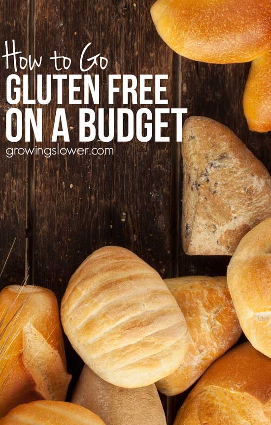 Practical tips for going gluten free on a budget. I’ve been eating gluten free for about three years now, and here’s what I’ve learned about eating gluten free on a shoestring grocery budget. Here’s what readers are saying: “These are some great ideas for shopping gluten-free! I’m always looking for some new and wonderful ideas. Being gluten-free it’s not always easy to shop within a budget!” - Tina