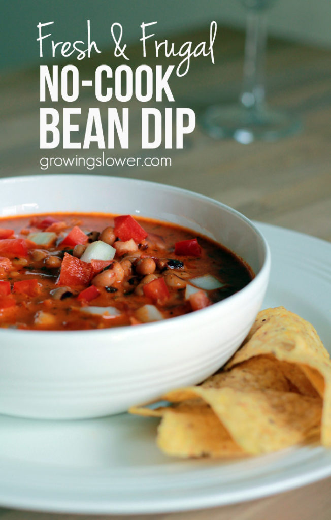 Ready to try something fresh, frugal, healthy, and new? Whip up this easy Gandules Dip Recipe, a tangy Puerto Rican bean dip that will wow your guests.