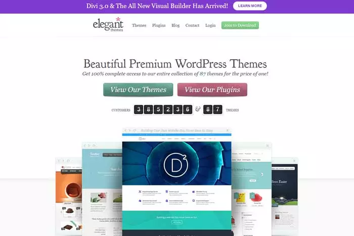 Elegant Themes has a huge selection of beautiful WordPress themes that will help you DIY a professional-looking blog design without the professional price tag.