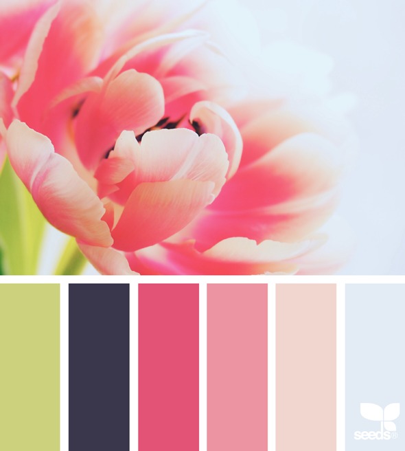 As you design your own blog, you'll need to choose a color palette! I love to start off by looking at Design Seeds for inspiration. Beautiful!