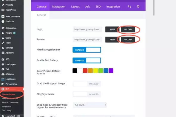 Here's a screen capture of where to upload your logo and favicon In Divi.